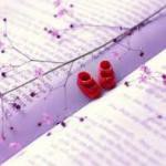 زندگی کاغذی