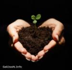 از هر چمن سمنی 